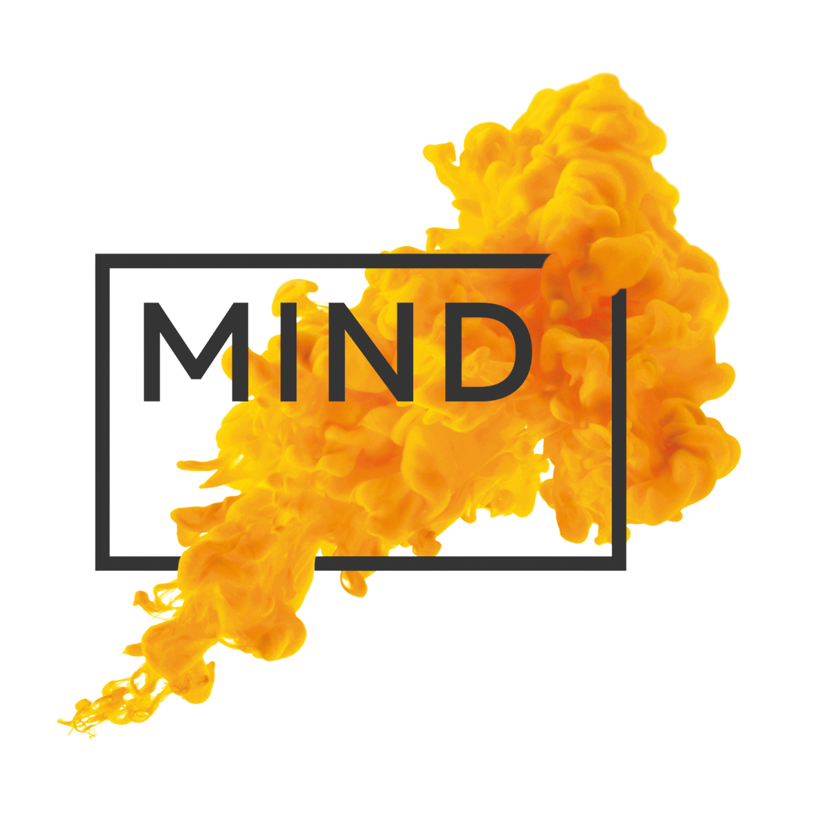 MIND Foundation Logo - CBF Erkend Goed Doel
